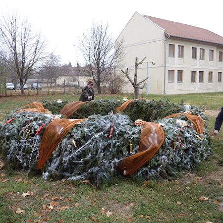 Nagyobb kép megtekintése