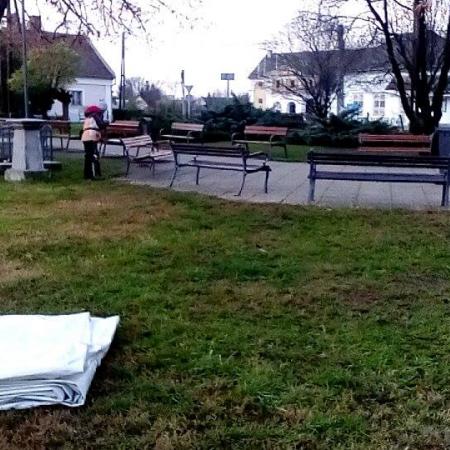 Nagyobb kép megtekintése