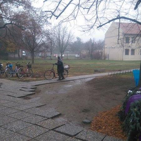 Nagyobb kép megtekintése