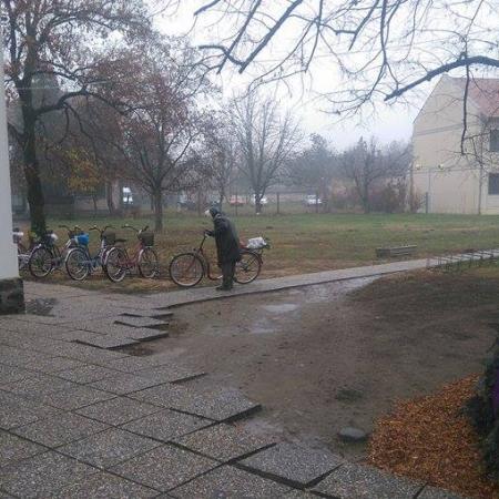 Nagyobb kép megtekintése