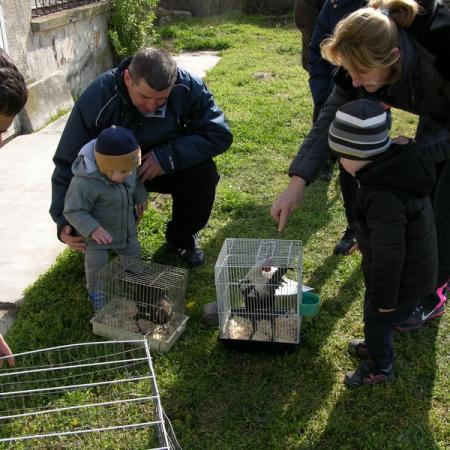 Nagyobb kép megtekintése