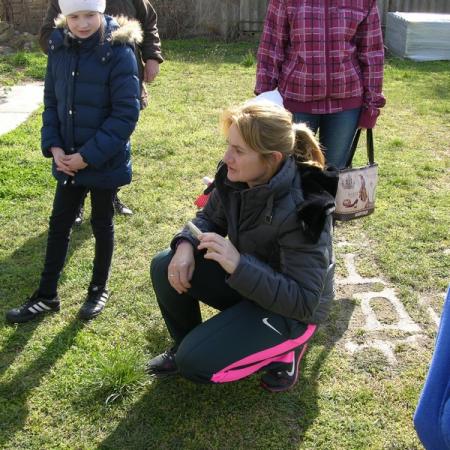 Nagyobb kép megtekintése