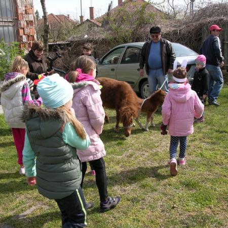 Nagyobb kép megtekintése