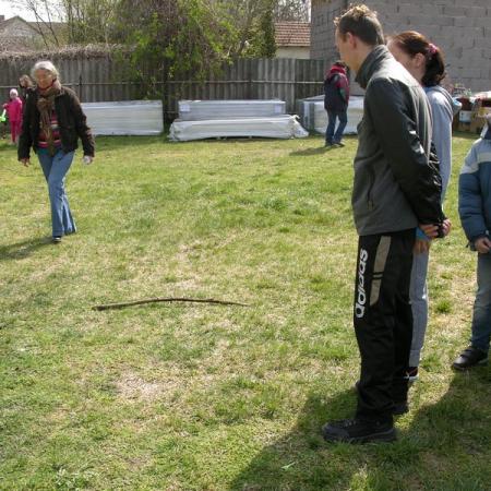 Nagyobb kép megtekintése