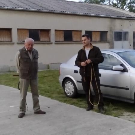Nagyobb kép megtekintése