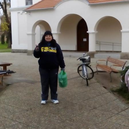 Nagyobb kép megtekintése