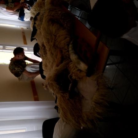 Nagyobb kép megtekintése
