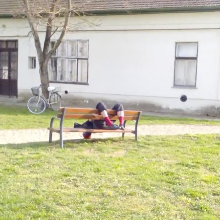 Nagyobb kép megtekintése
