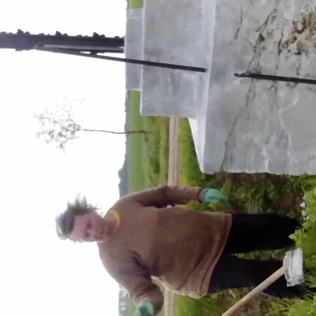 Nagyobb kép megtekintése
