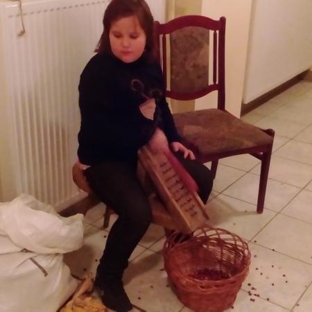 Nagyobb kép megtekintése