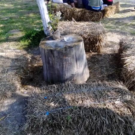 Nagyobb kép megtekintése
