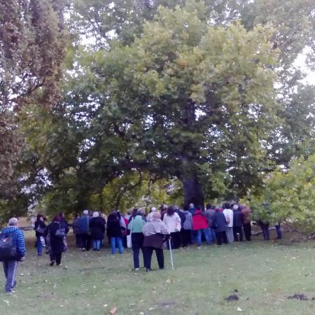 Nagyobb kép megtekintése