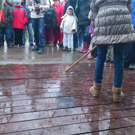 Nagyobb kép megtekintése