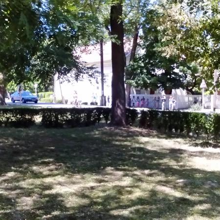 Nagyobb kép megtekintése