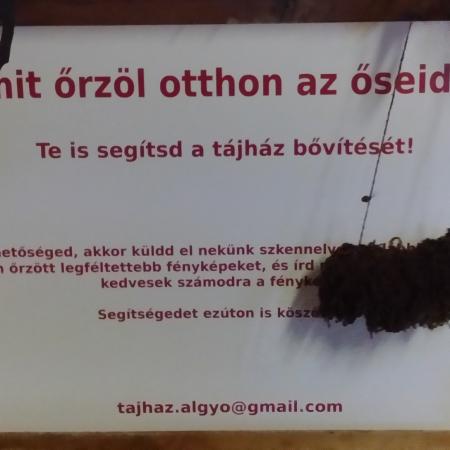 Nagyobb kép megtekintése