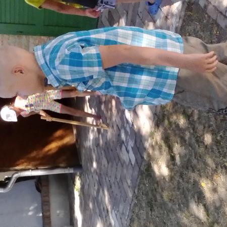 Nagyobb kép megtekintése