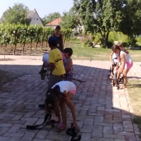 Nagyobb kép megtekintése