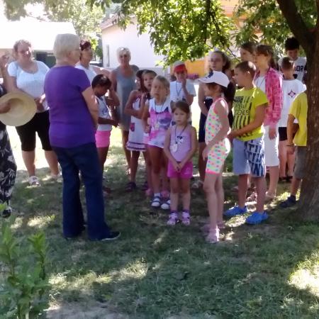 Nagyobb kép megtekintése