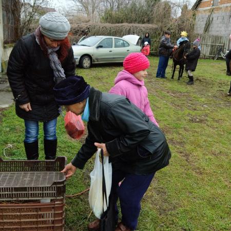Nagyobb kép megtekintése