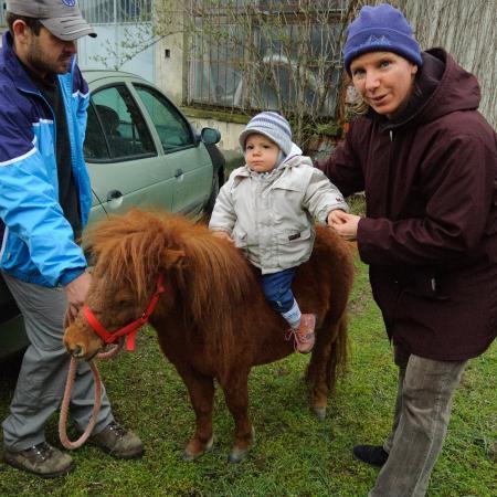 Nagyobb kép megtekintése