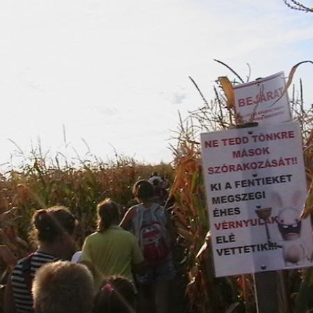 Nagyobb kép megtekintése