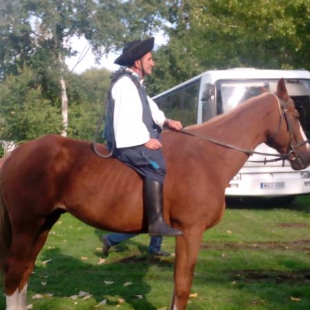 Nagyobb kép megtekintése