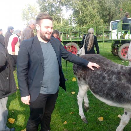 Nagyobb kép megtekintése