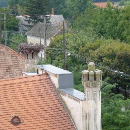 Nagyobb kép megtekintése