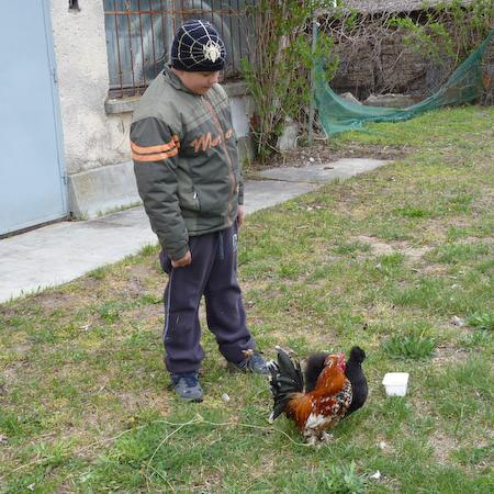 Nagyobb kép megtekintése