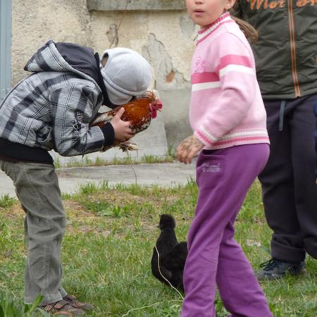Nagyobb kép megtekintése