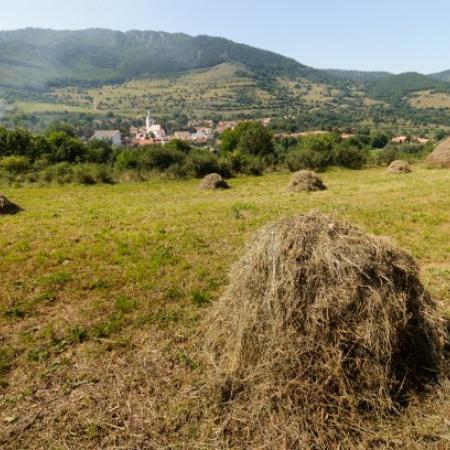 Nagyobb kép megtekintése