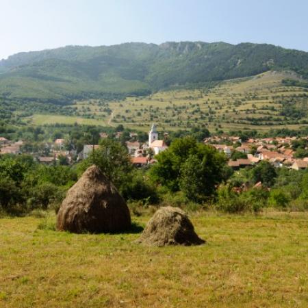 Nagyobb kép megtekintése