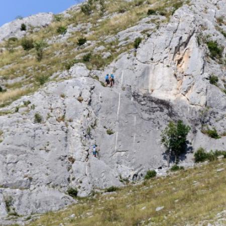 Nagyobb kép megtekintése